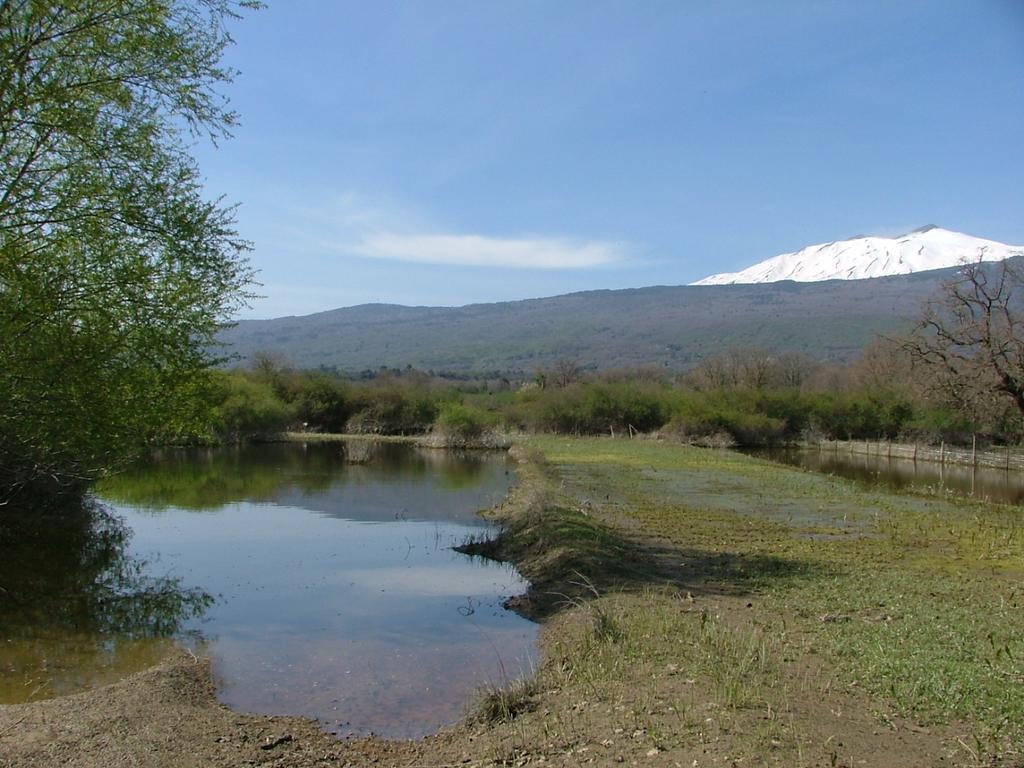 Animosa Suites Castiglione De Sicilia Esterno foto